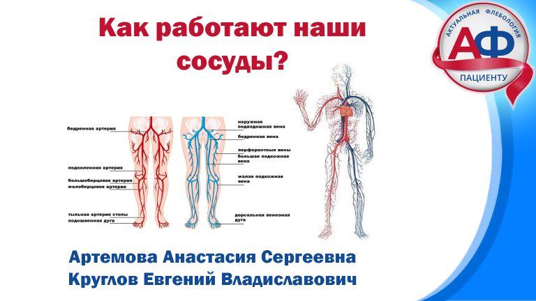 Как работают наши сосуды