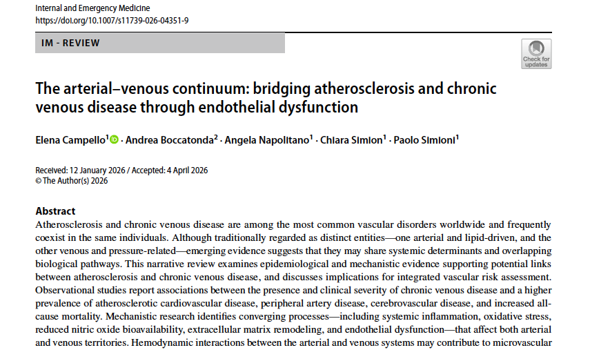 Артериально-венозный континуум: взаимосвязь атеросклероза и хронических заболеваний вен через эндотелиальную дисфункцию